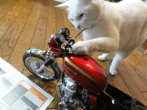 猫のＣＢ７５０組み立て