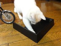 猫のＣＢ７５０Ｆｏｕｒ
