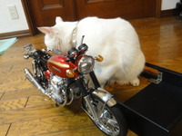 猫のＣＢ７５０Ｆｏｕｒ