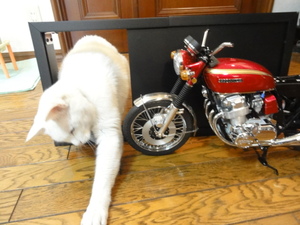 ミルフィーのCB750Four（ＮＯ，５９）