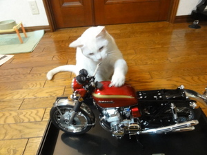 猫のCB750Four