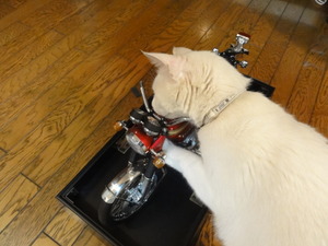 猫のCB750Four