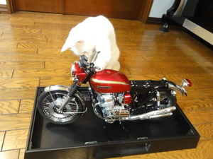 猫のCB750Four