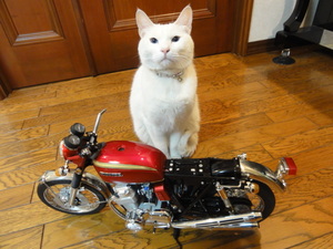 猫の一級整備士（ミルフィー）