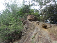 屋久島（美しさ）