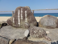 屋久島（美しさ）