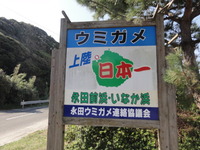 屋久島（美しさ）