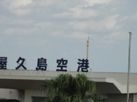 屋久島（美しさ）