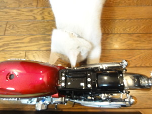 CB750FOUR、No６３