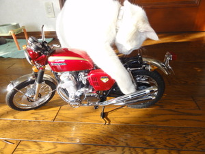 ミルフィーのＣＢ７５０（ＮＯ６６）