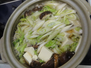 素人野菜研究会（白菜）