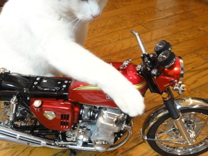 ミルフィーのＣＢ７５０Ｆｏｕｒ（ＮＯ，６８）