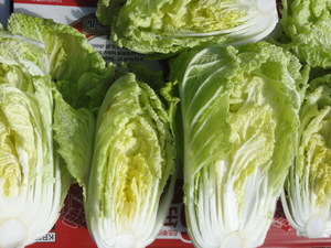 素人野菜研究会（白菜漬け）