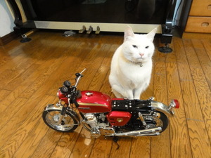 ミルフィーのＣＢ７５０
