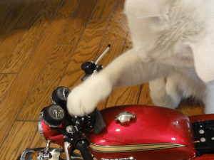 ミルフィーのＣＢ７５０