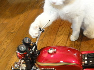 ミルフィーのＣＢ７５０