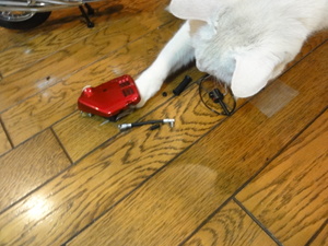 猫の整備士（MIL)