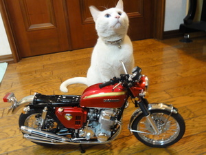 猫の整備士（MIL)