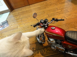 ＣＢ７５０Ｆｏｕｒ（ミルフィー）