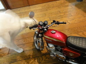 ＣＢ７５０Ｆｏｕｒ（ミルフィー）