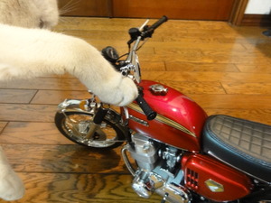 ＣＢ７５０Ｆｏｕｒ（ミルフィー）