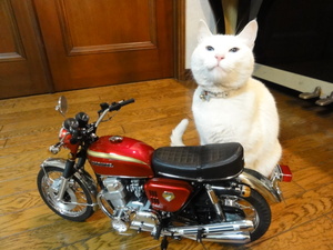 ＣＢ７５０Ｆｏｕｒ（ミルフィー）