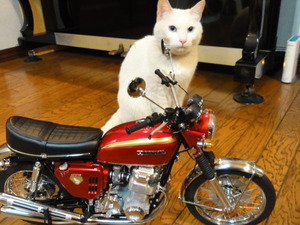 ＣＢ７５０Ｆｏｕｒ（完成）