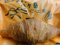 白樺ツーリング