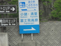 白樺ツーリング