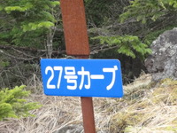 白樺ツーリング