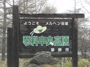 白樺ツーリング