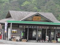 白樺ツーリング