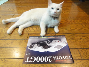 猫のＴＯＹＯＴＡ２０００ＧＴ
