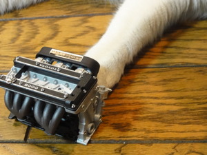 猫のＴＯＹＯＴＡ２０００ＧＴ