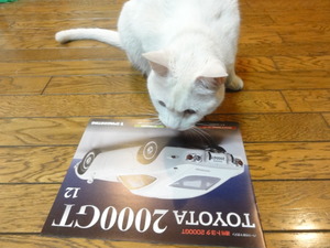 ミルフィーの２０００ＧＴ