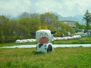 梅雨に負けるな!
