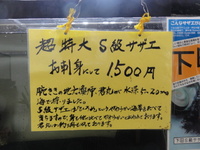 伊豆ツーリング（後編）