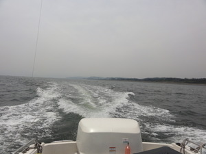 海釣り（五目釣り）