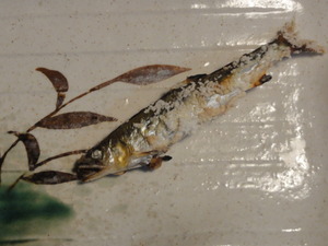 素人釣り研究会