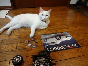 ミルフィーの２０００ＧＴ