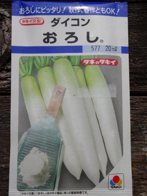 素人野菜研究会（大根）