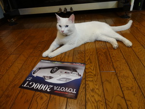 ミルフィーの２０００ＧＴ