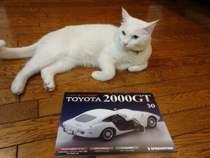 ミルフィーの２０００ＧＴ