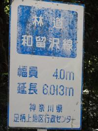二宮金次郎の林道