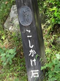 二宮金次郎の林道