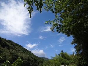 二宮金次郎の林道