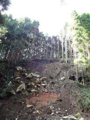 二宮金次郎の林道