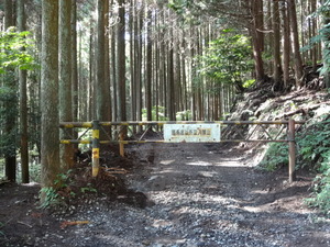 二宮金次郎の林道
