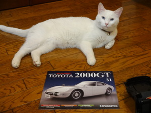 ミルフィーの２０００ＧＴ