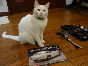 ミルフィーの２０００ＧＴ